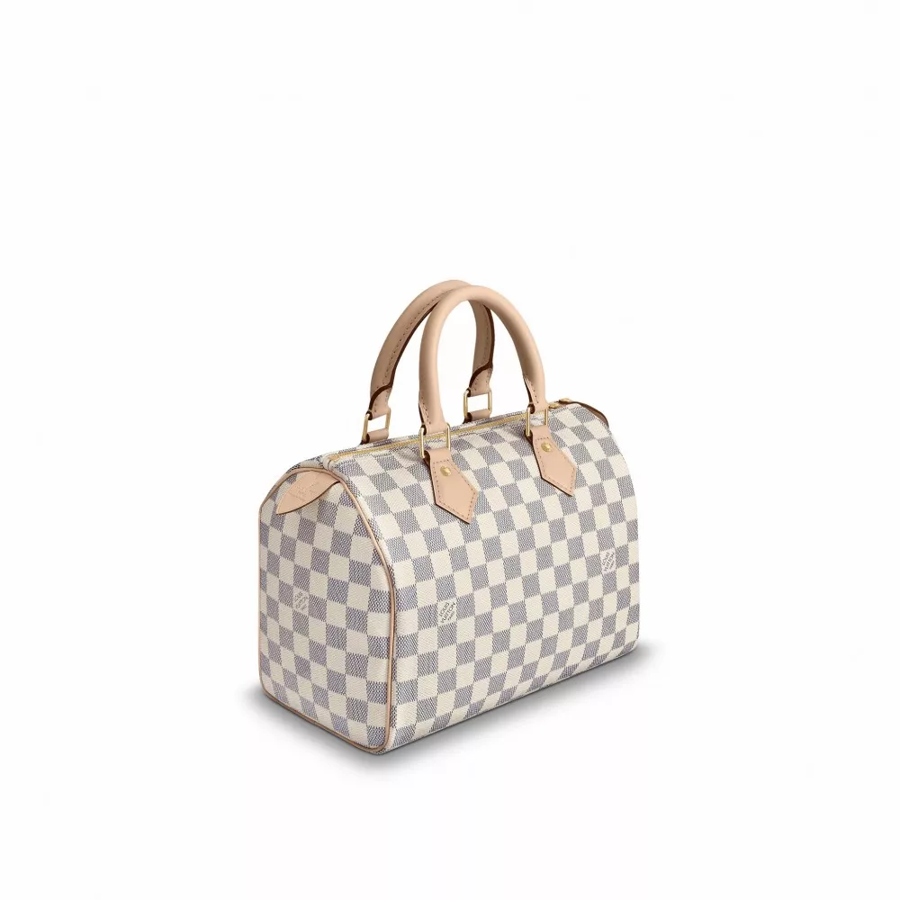 Cheap Louis Vuitton Speedy 25 N41371 0117