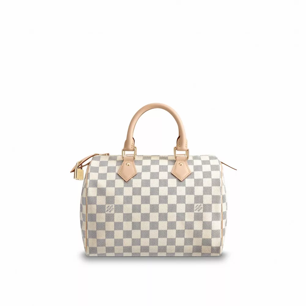 Cheap Louis Vuitton Speedy 25 N41371 0117