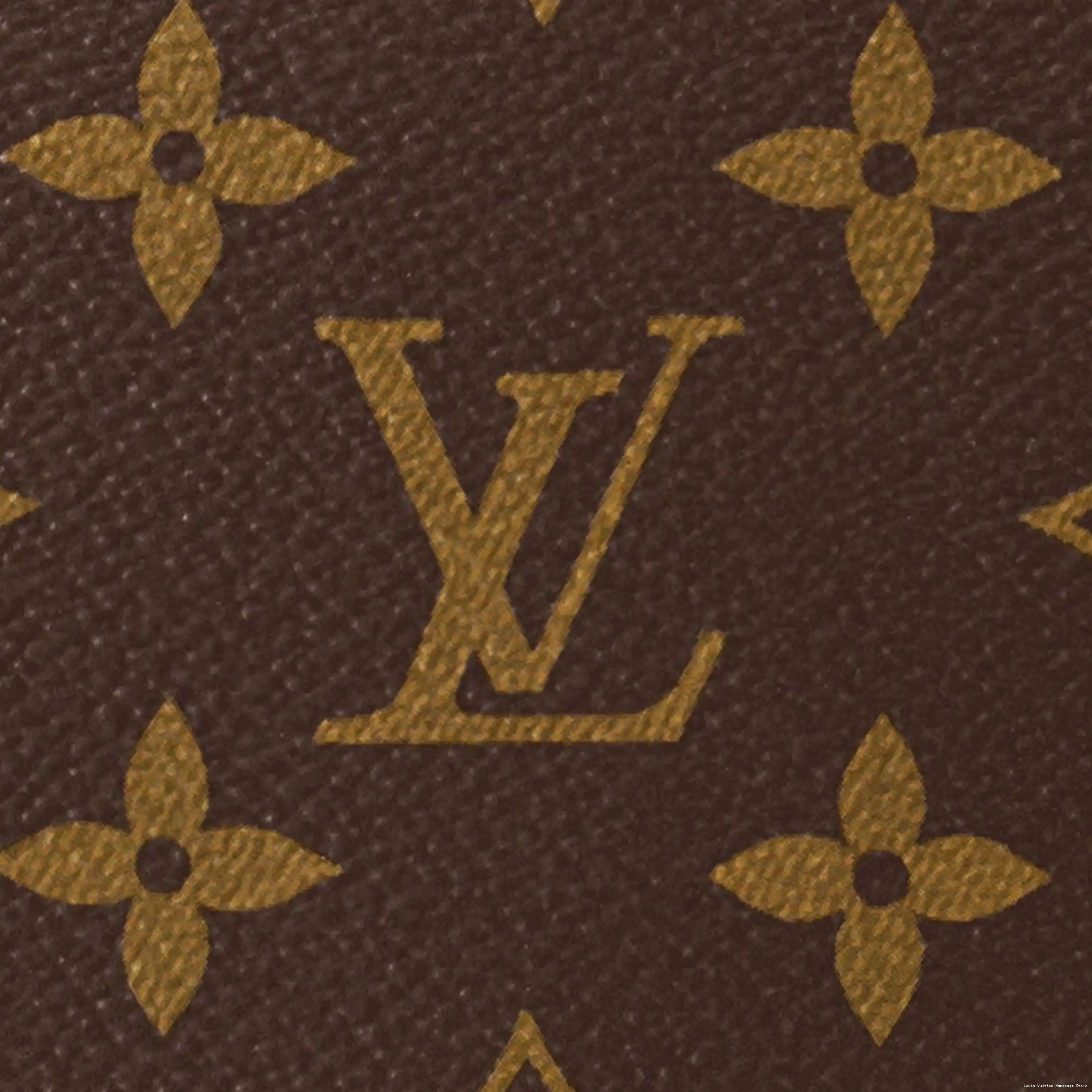 Cheap Vuitton Hobo Monogram Loop M46311 Louis 0224